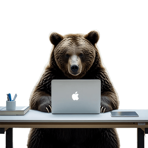 Professional bear working on MacBook laptop at desk - representing expert web development services