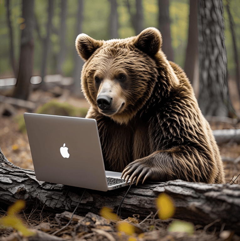 Bear developing custom e-commerce solutions